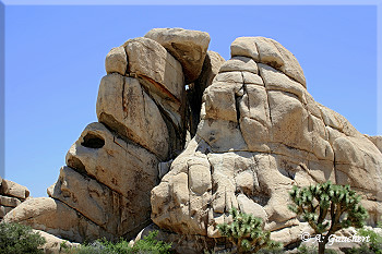 Hidden Valley